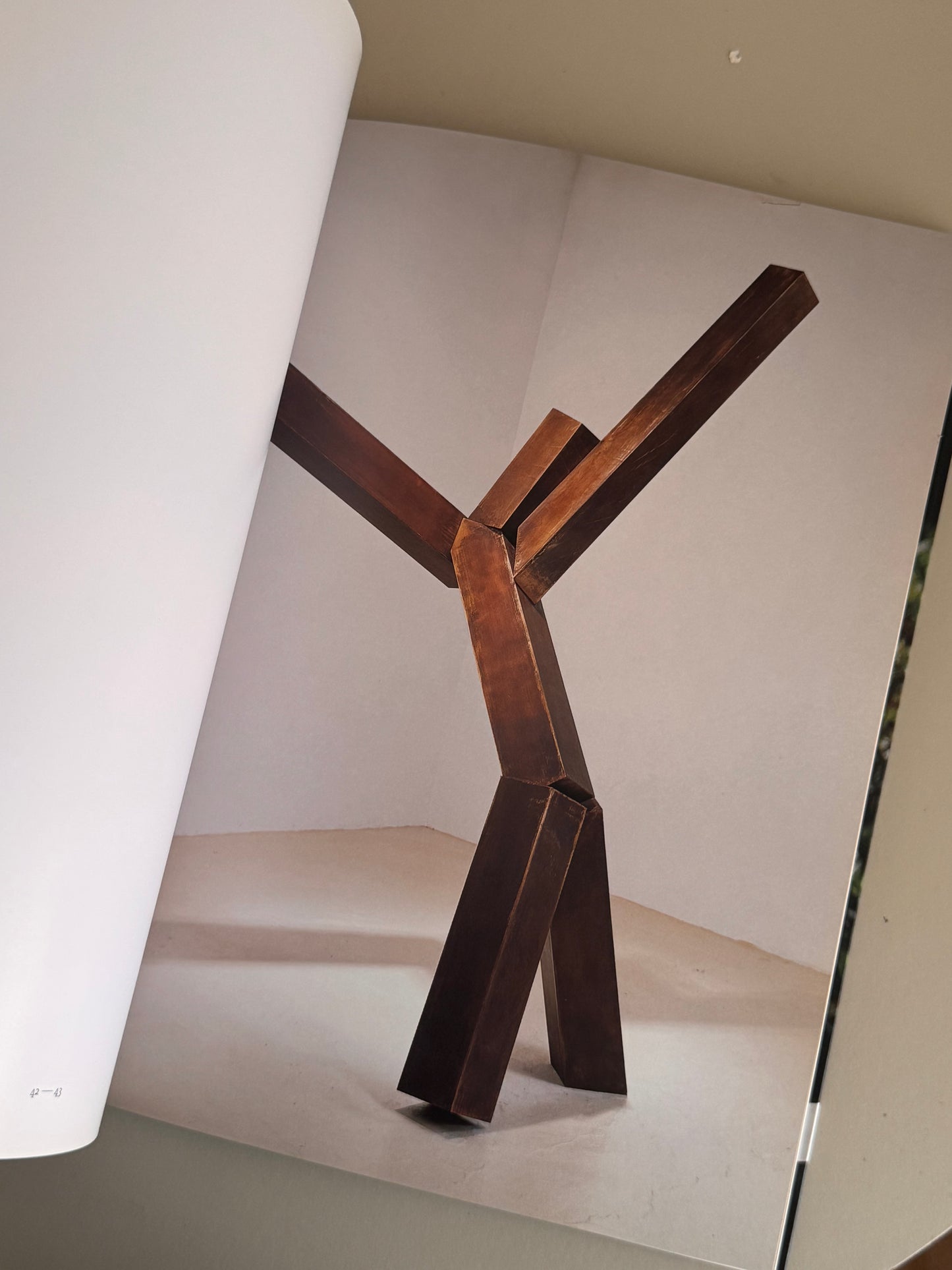 Joel Shapiro Book