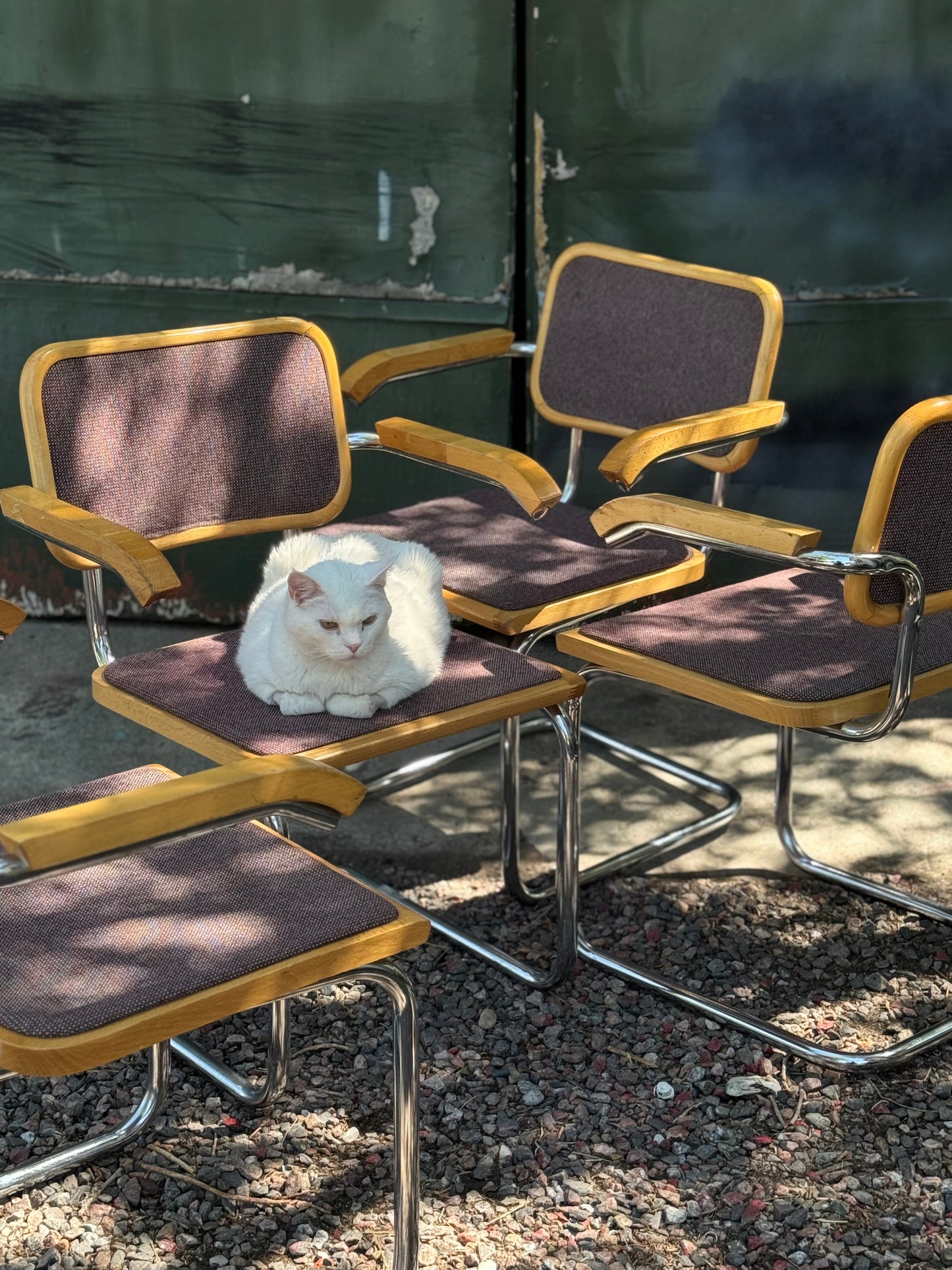 Vintage Italian Cesca Chairs