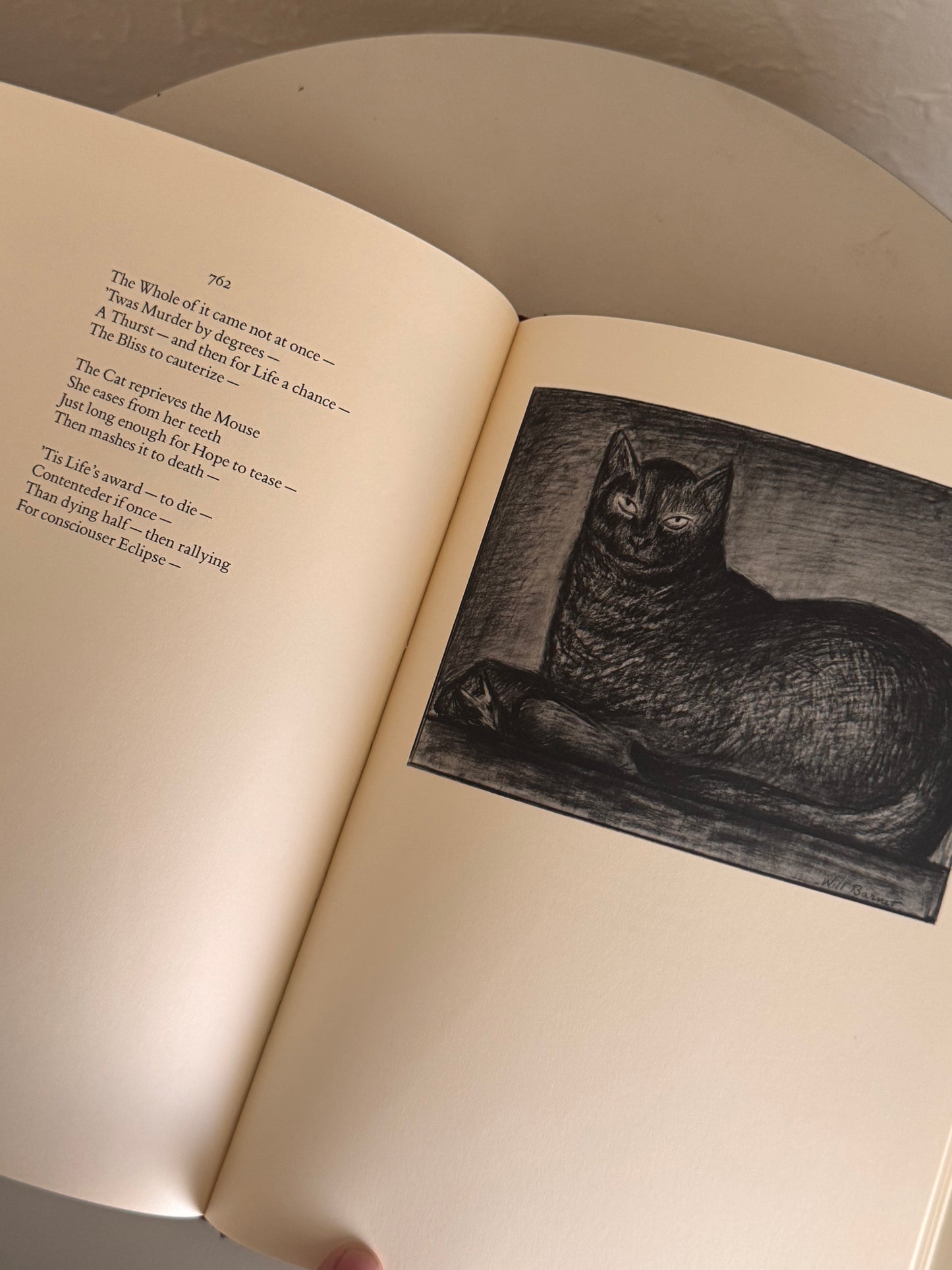 The World in a Frame Book
