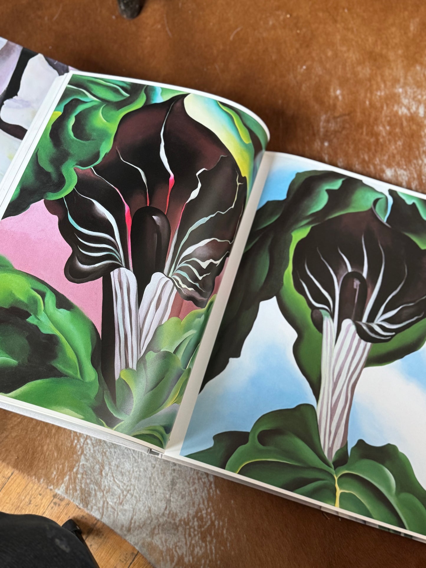 First Edition 1987 Georgia O’Keeffe Coffee Table Book (JAPAN)