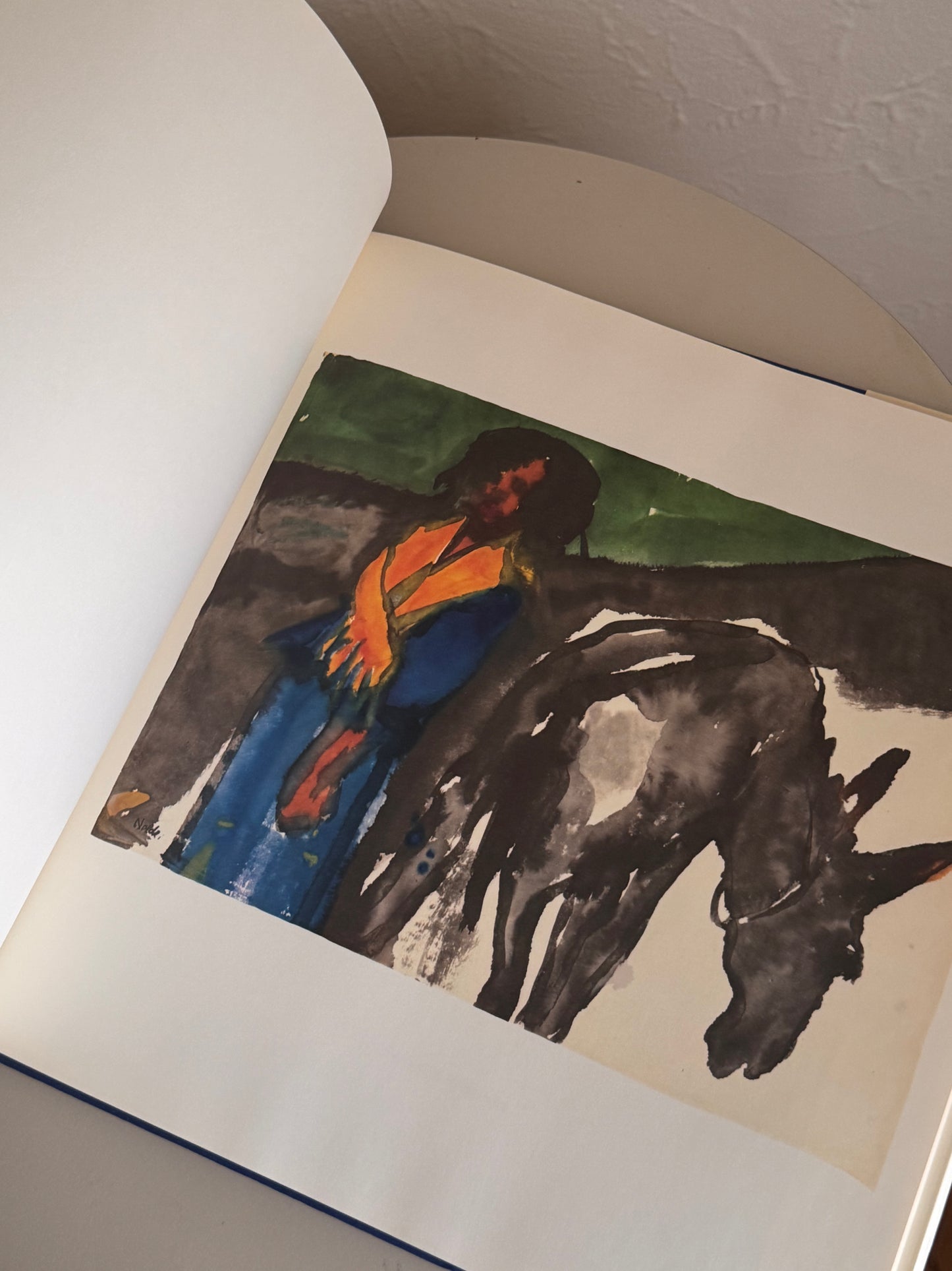 Emil Nolde Art Book