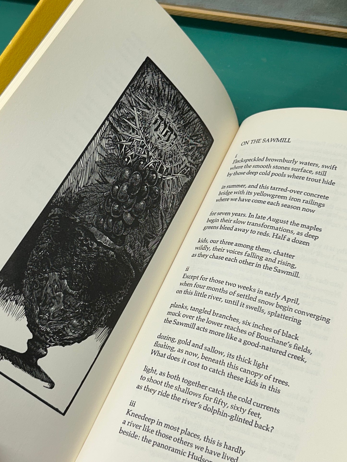 Timing Devices: Poems by Paul Mariani (1979)