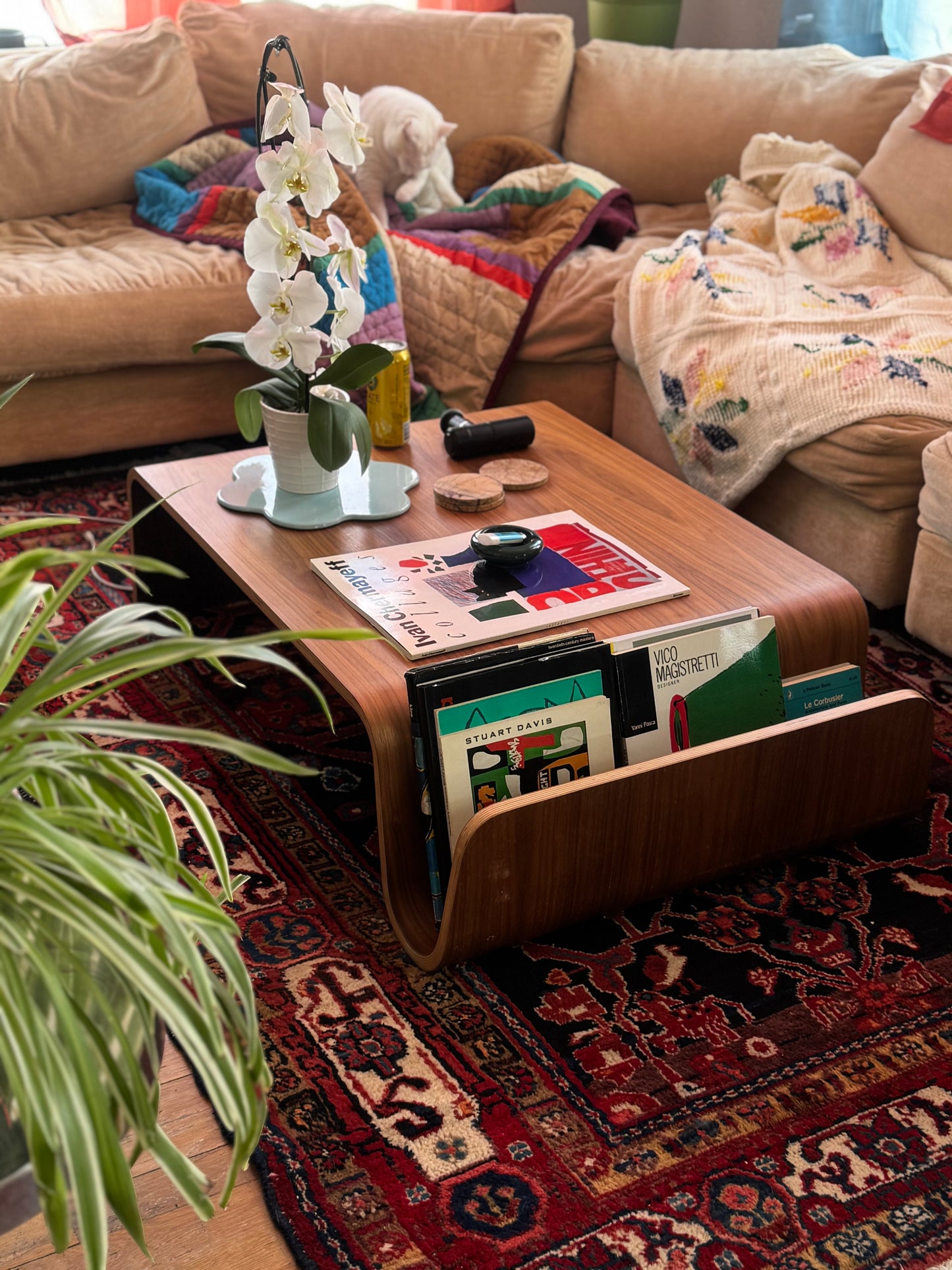 Walnut Bentwood Scandi Coffee Table