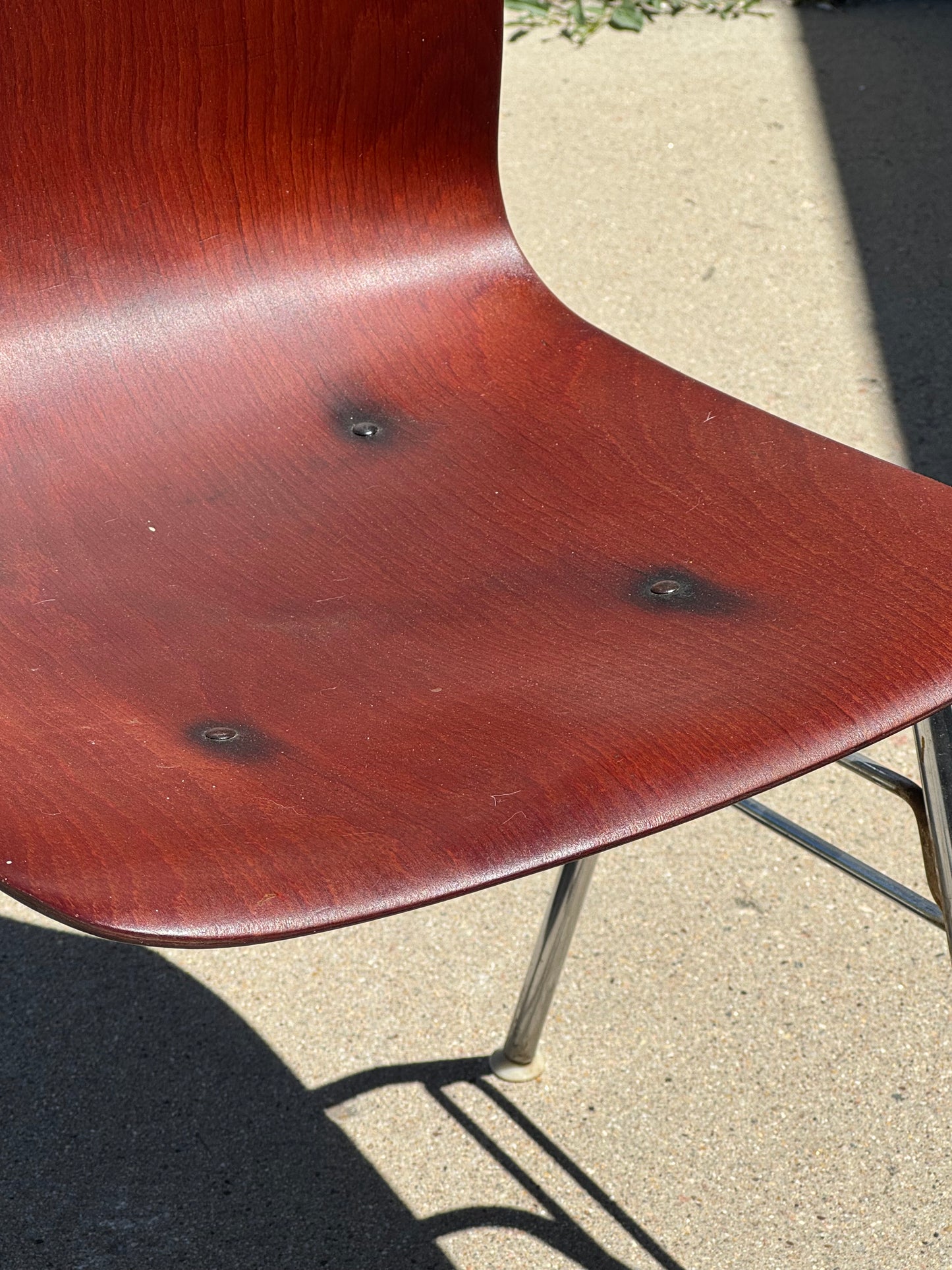 Molded Rosewood Dining Chair by Pagholz Flötotto