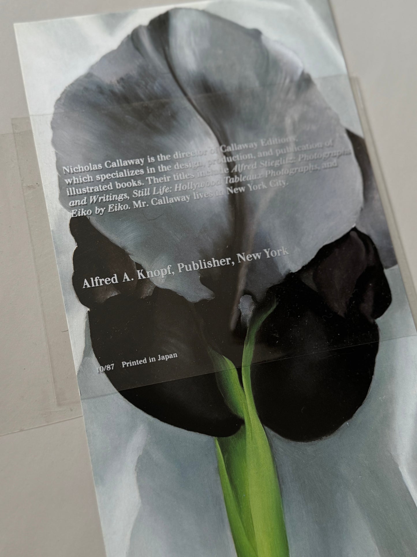 First Edition 1987 Georgia O’Keeffe Coffee Table Book (JAPAN)
