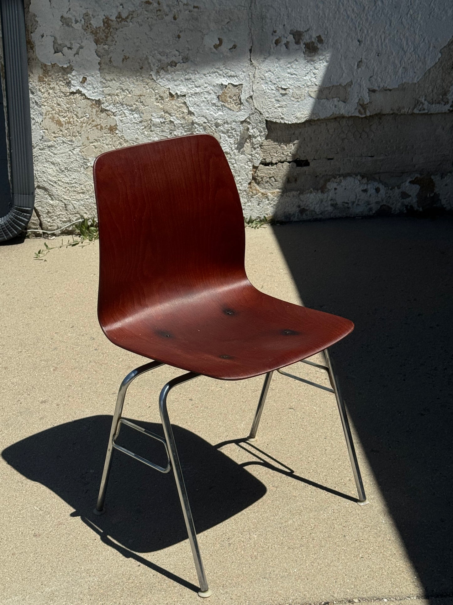 Molded Rosewood Dining Chair by Pagholz Flötotto