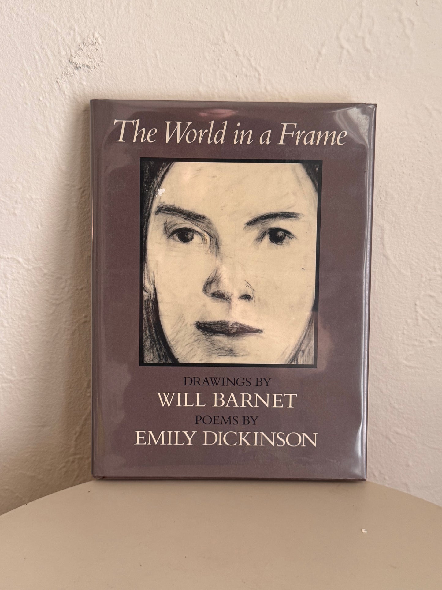 The World in a Frame Book
