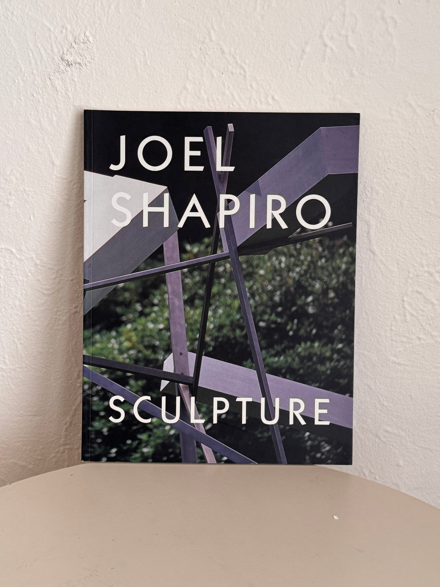 Joel Shapiro Book