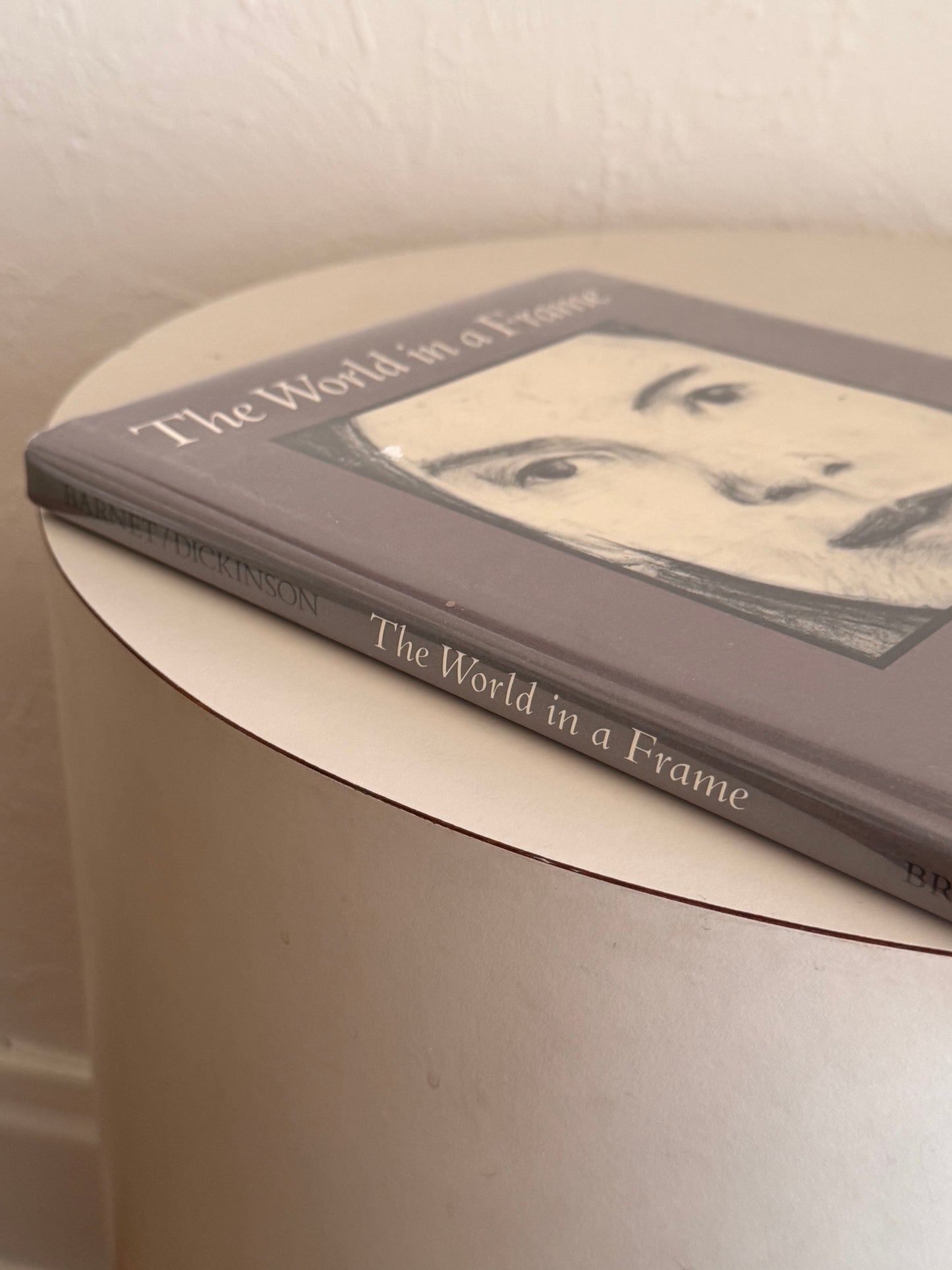 The World in a Frame Book