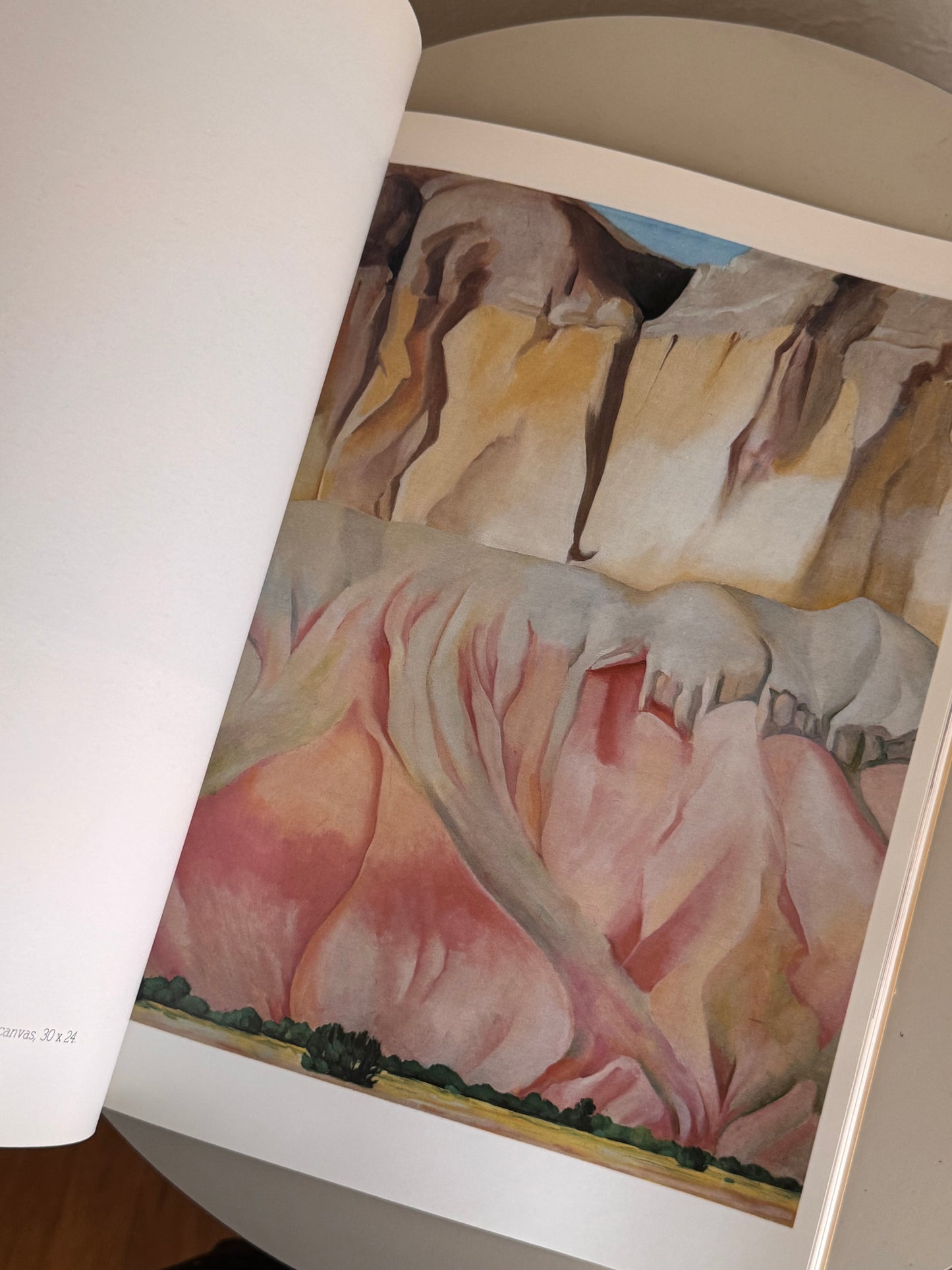 Large Georgia O’Keeffe Coffee Table Book