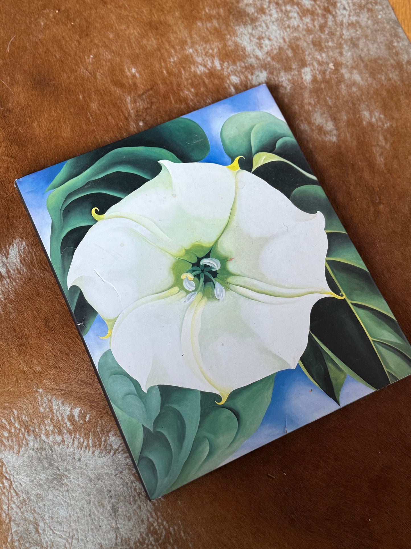 First Edition 1987 Georgia O’Keeffe Coffee Table Book (JAPAN)