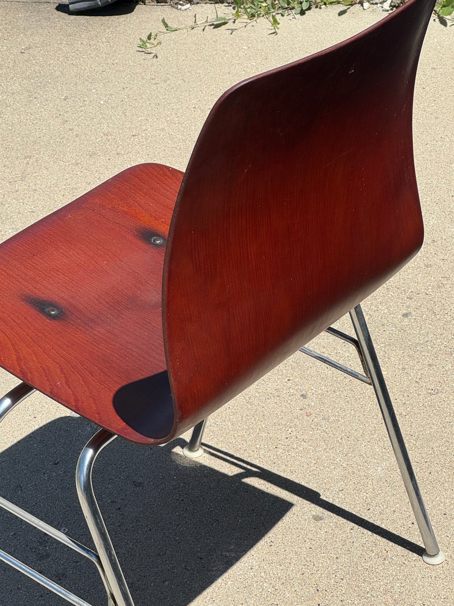 Molded Rosewood Dining Chair by Pagholz Flötotto