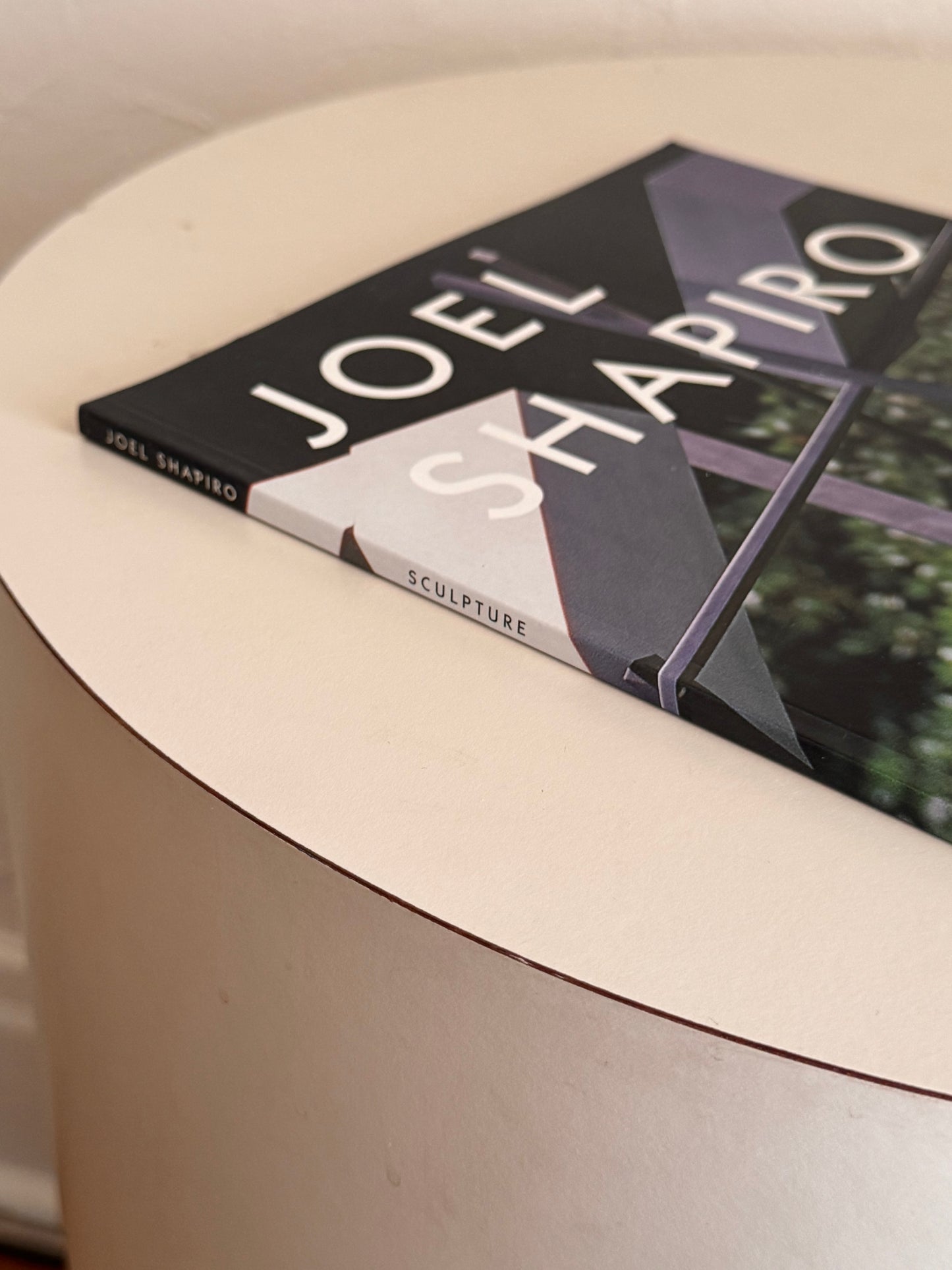 Joel Shapiro Book