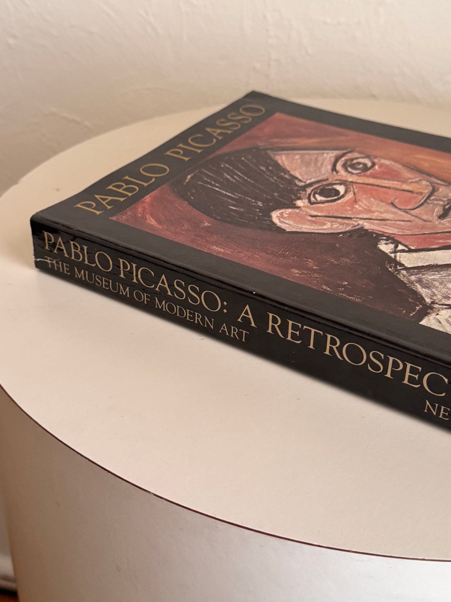 Pablo Picasso Book