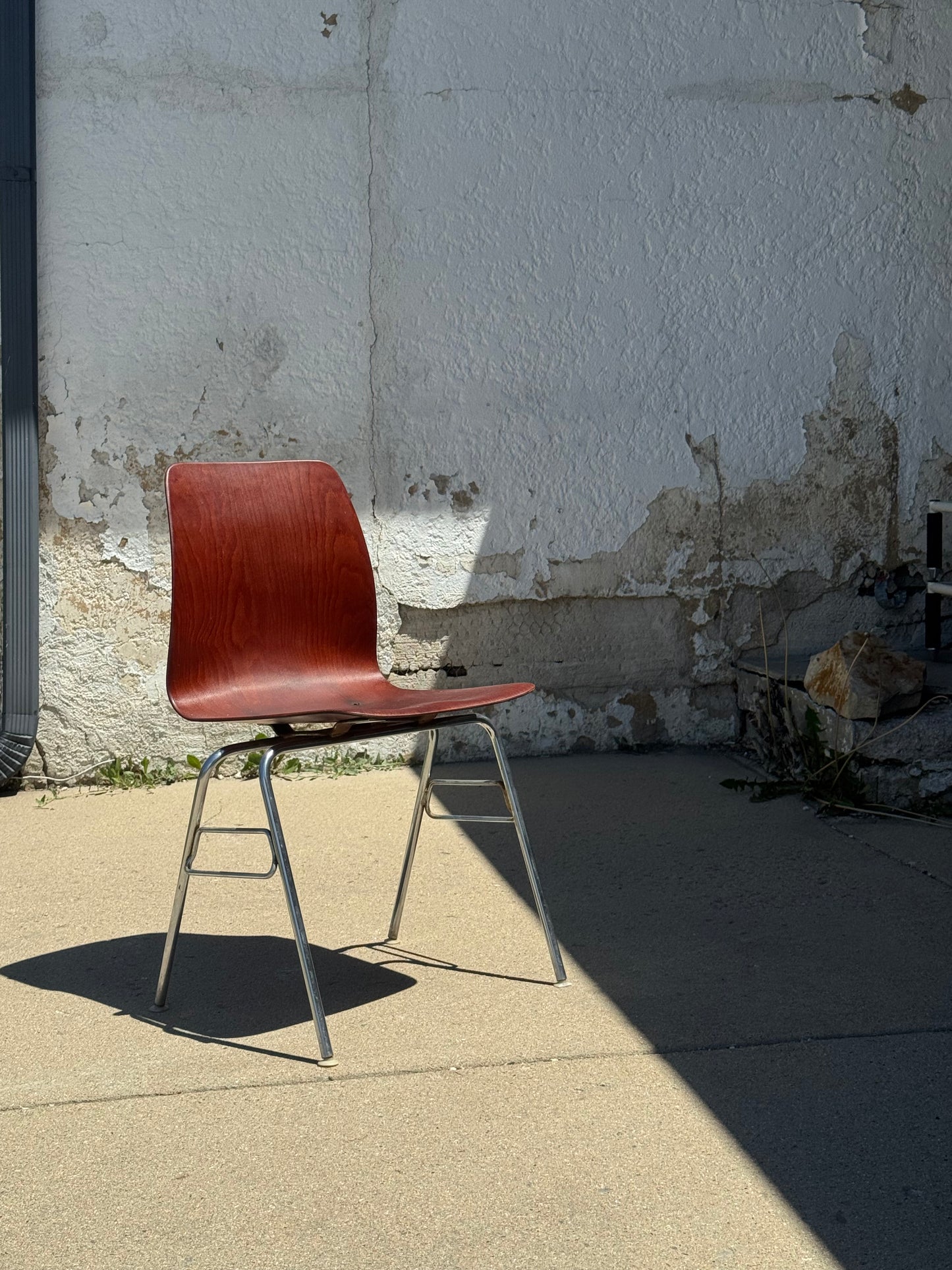 Molded Rosewood Dining Chair by Pagholz Flötotto
